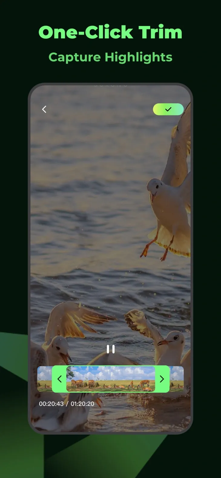 One-click trim