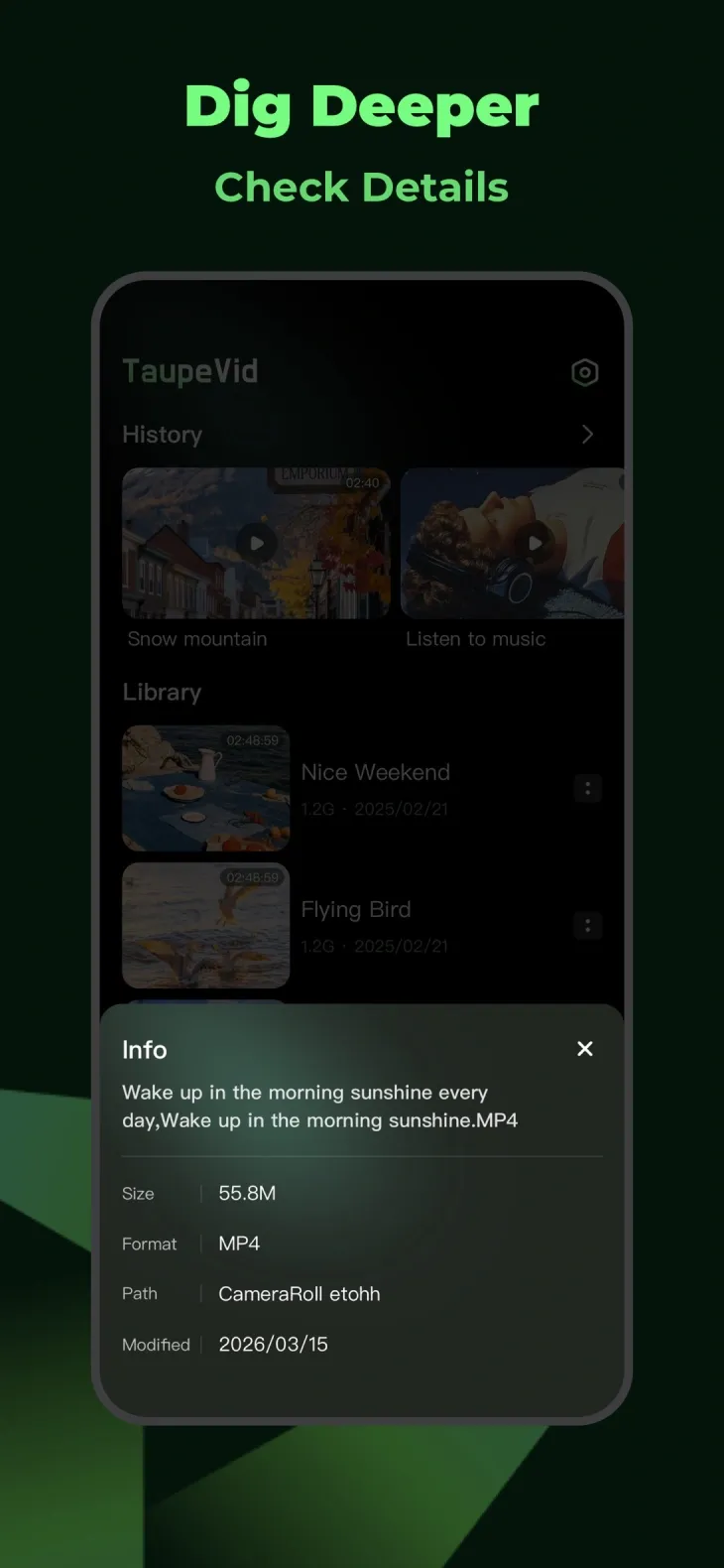 Video file details